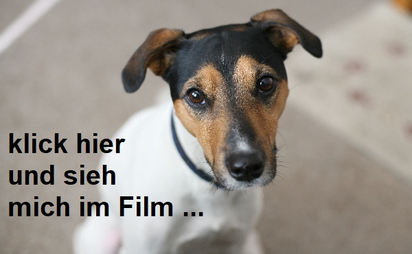 Klick mich an ...